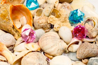 Seashells and small globe on a book with a geographical map.