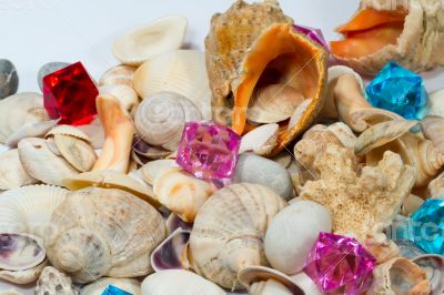 Seashells and small globe on a book with a geographical map.