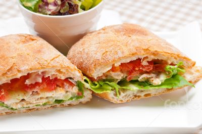 ciabatta panini sandwich with chicken and tomato