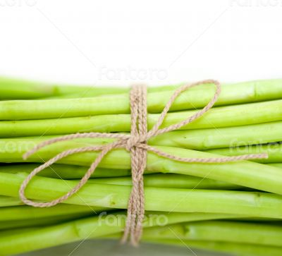 fresh asparagus over white