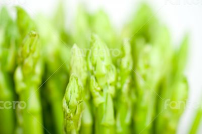fresh asparagus over white