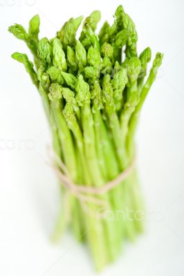 fresh asparagus over white