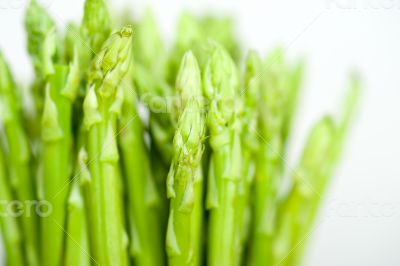 fresh asparagus over white