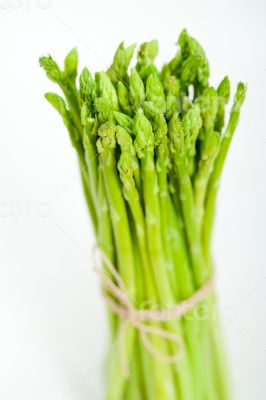 fresh asparagus over white