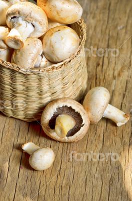 Basket with  mushrooms 