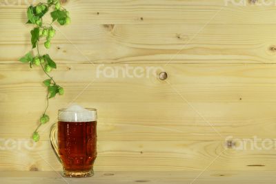 Beer and hops