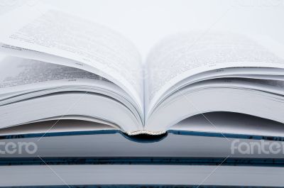 Pages of the book