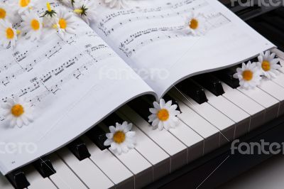 Piano keys and musical book and flower