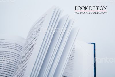 Pages of the book