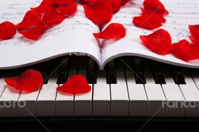 Piano keys and musical book