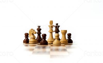 chess pieces on the board
