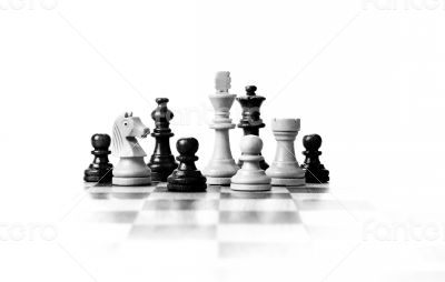 chess pieces on the board