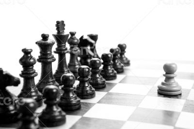 chess pieces on the board