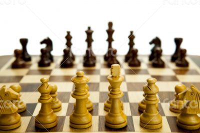 chess pieces on the board