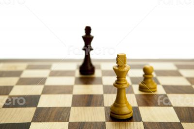 chess pieces on the board