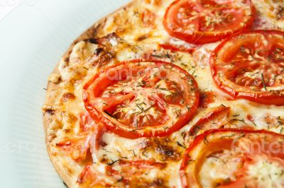 pizza on a white plate