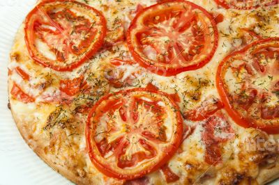 pizza on a white plate