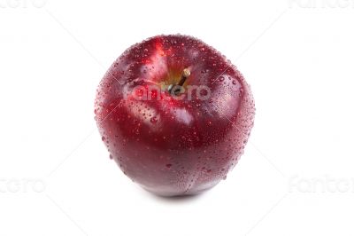 close-up of an apple