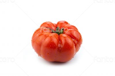 big red tomato close up