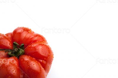 big red tomato close up