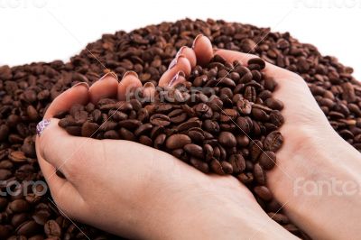 roasted coffee beans