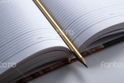 diary with pencil