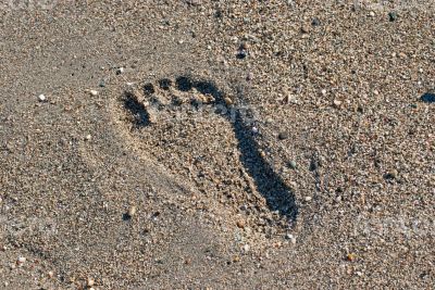 Footprint in the sand.