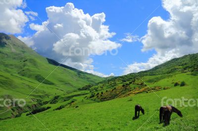 Caucasus green mountains