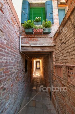 Venice Italy pittoresque view