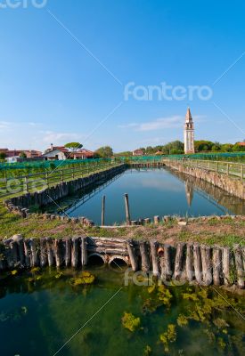 Venice Burano Mazorbo vineyard