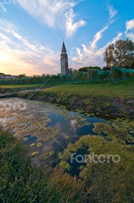 Venice Burano Mazorbo vineyard