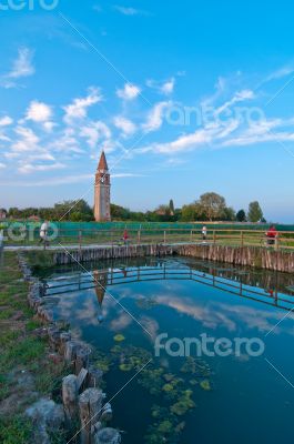 Venice Burano Mazorbo vineyard