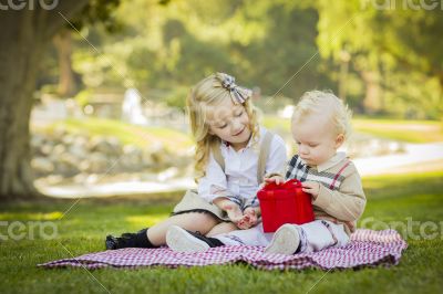 Little Girl Gives Her Baby Brother A Gift at Park