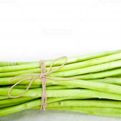 fresh asparagus over white
