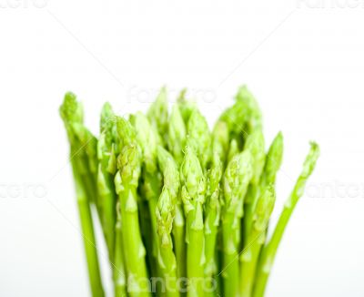 fresh asparagus over white