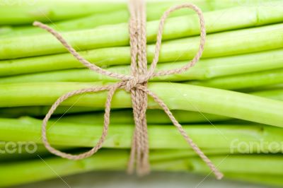 fresh asparagus over white