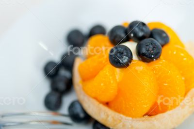 blueberry cream cupcake