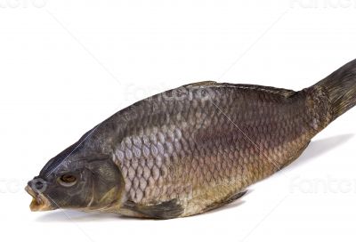 Salted and dried river fish on a white background.