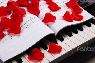 Piano keys and musical book