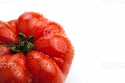 big red tomato close up