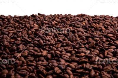 roasted coffee beans