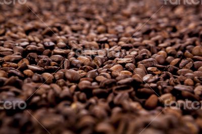a lot of roasted coffee beans