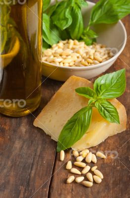 Italian basil pesto ingredients
