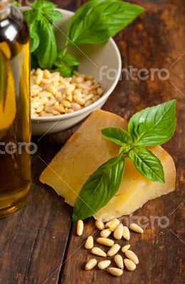 Italian basil pesto ingredients