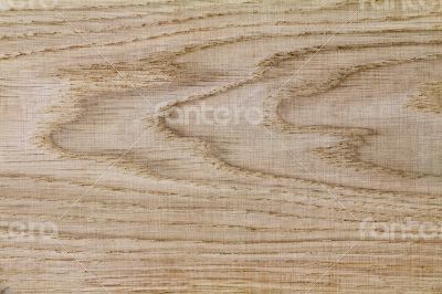 Fragment of the boards from a natural tree - oak, 