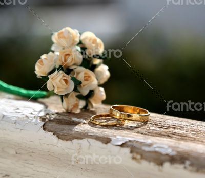 The rings for just married