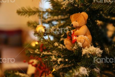 Christmas bear hanging on the branch of the Christmas Tree