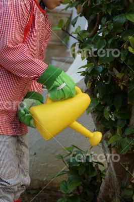 Child is watering the bush using yellow watering can
