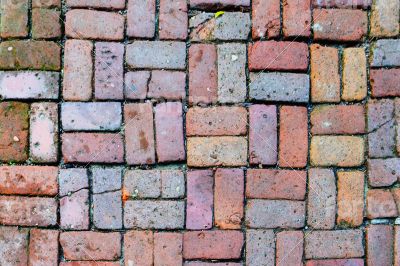 Brick Path