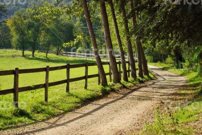 Road in Countryside